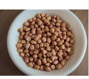 New Crop Good Quality Blanched Peanut Kernels