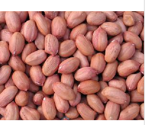 New Crop Red Skin Peanut Kernels