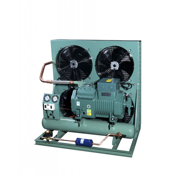 Air Cooled Condensing Unit for Cold Storage