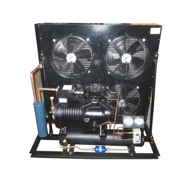 Copeland Air Cooled Condensing Unit for Cold Storage